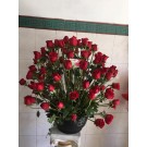 100 Rosas Rojas